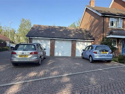 Picture 21